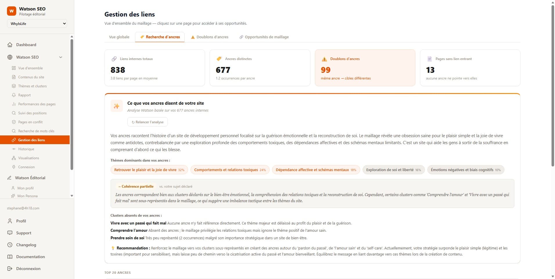 Analyse des ancres Watson SEO — 677 ancres internes analysées